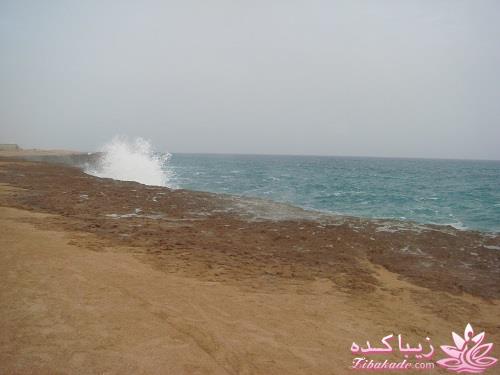 عکـــــــــــــــــس های گرفته شده در سفـــــــر